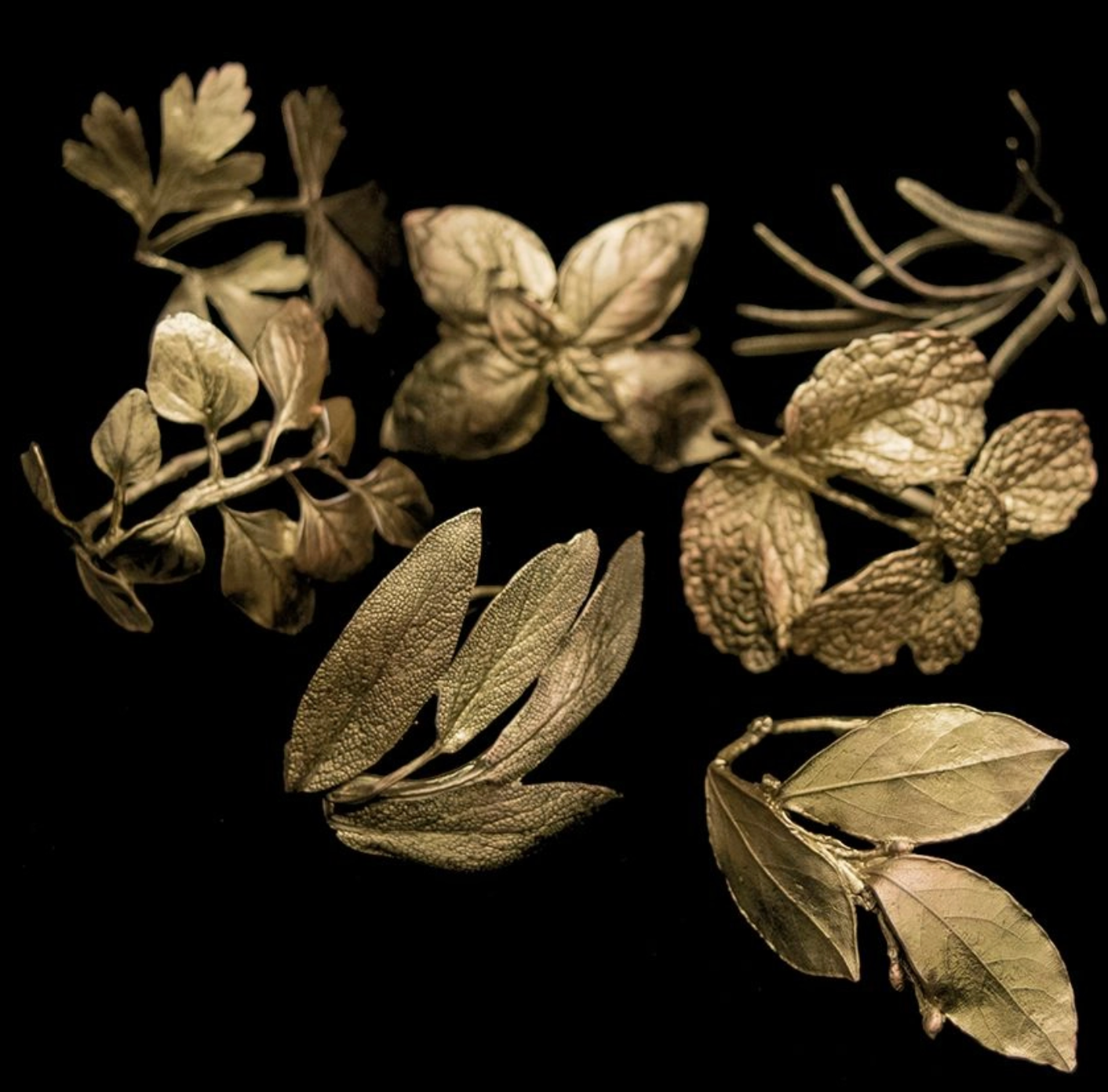 Herbs - 8 Assorted Napkin Rings